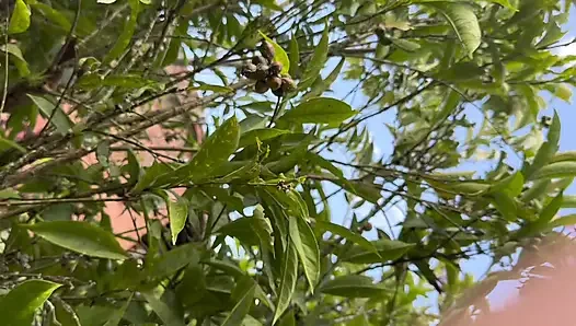 Aku Tidak Pernah Berpikir Sepupu Tiriku Akan Melakukan Ini