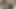 Called a Whore Nika Nut and Accidentally Anal Fucked - Exclusive Homemade Porn Nigonika Top Porn 2023