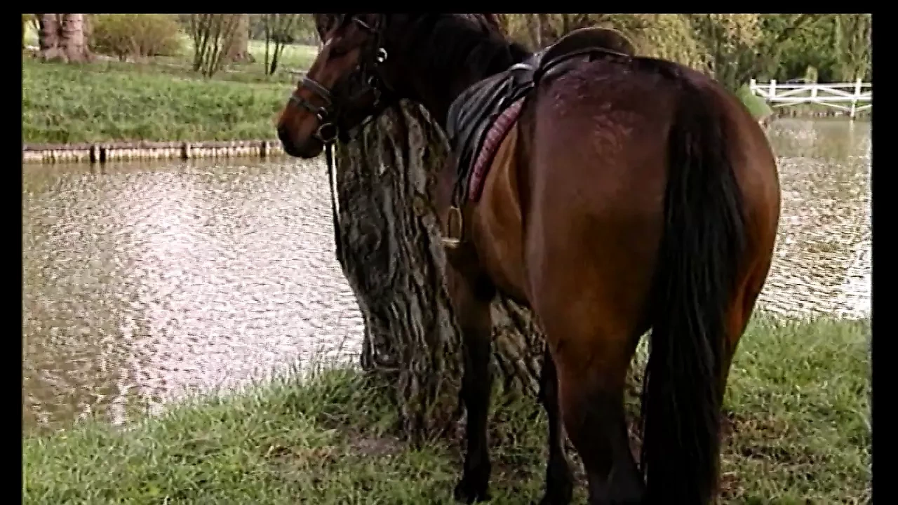 Backey Jakic（完整电影高清）