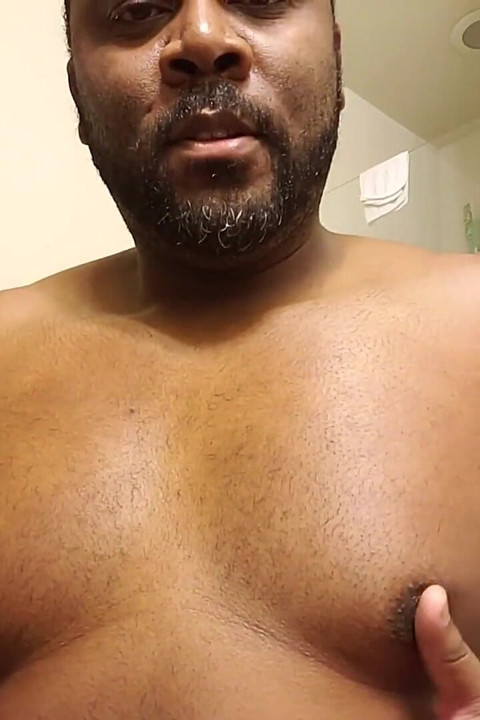 Good morning bear BBC