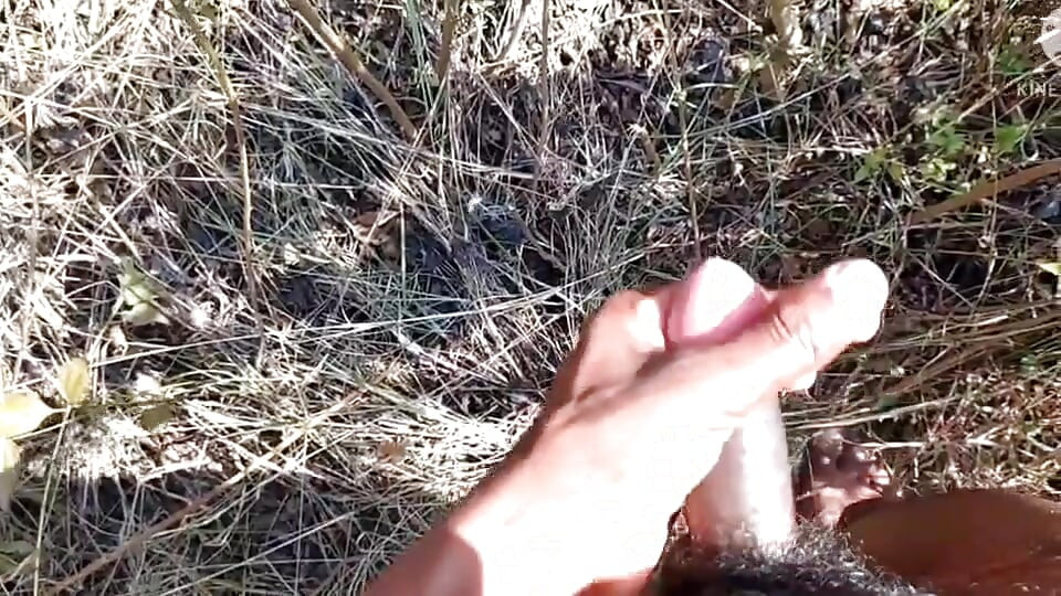 Desi indischer sex-dschungel ficken xxx video