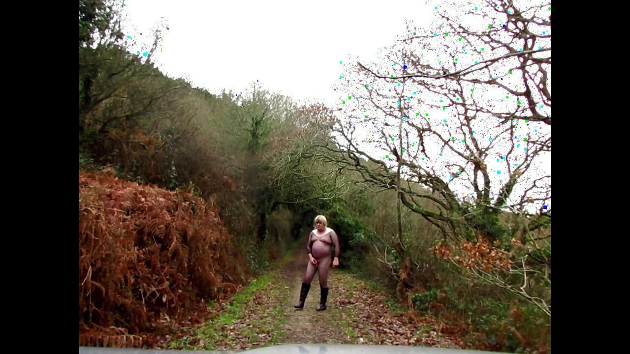 exhibition in nature