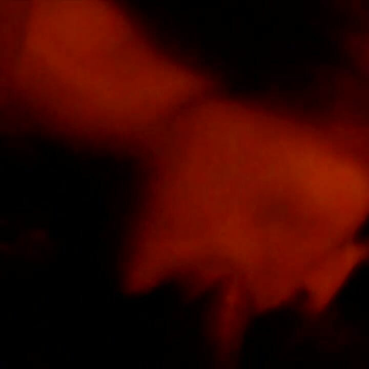 Η Stoyca πρώτη φορά στην κάμερα