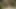 Powerful Cumshot swich off the Camera