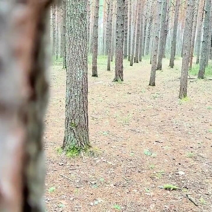 Freeze Time Woods Creepy Neighbor Freezes Cute Jogger
