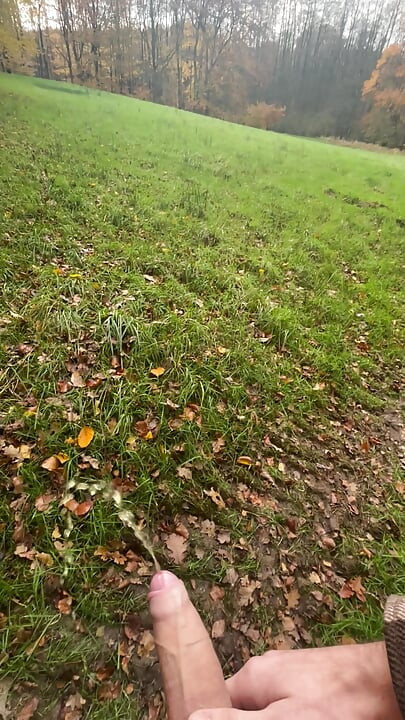 Outdoor fun