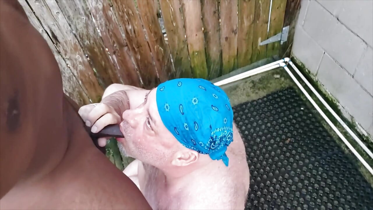 Bear Gets Pissed on by BBC