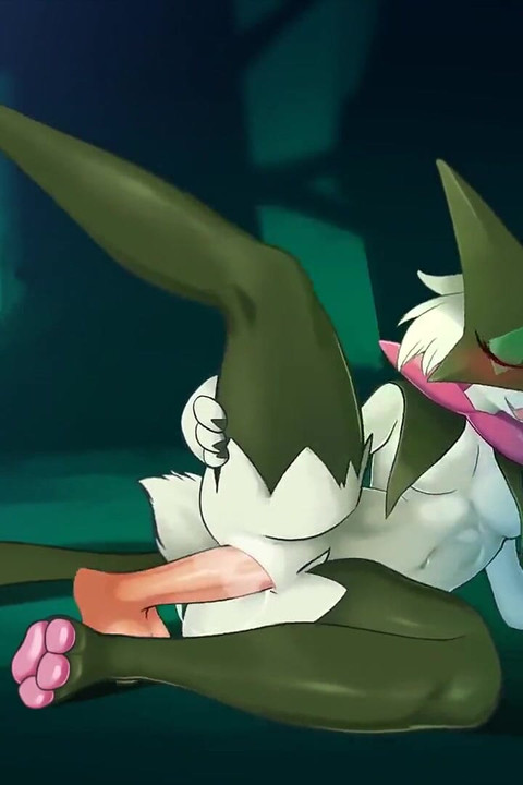 Sexe meowscarada (sexe poilu)