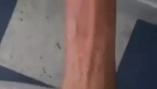 Showing my Algerian Cock