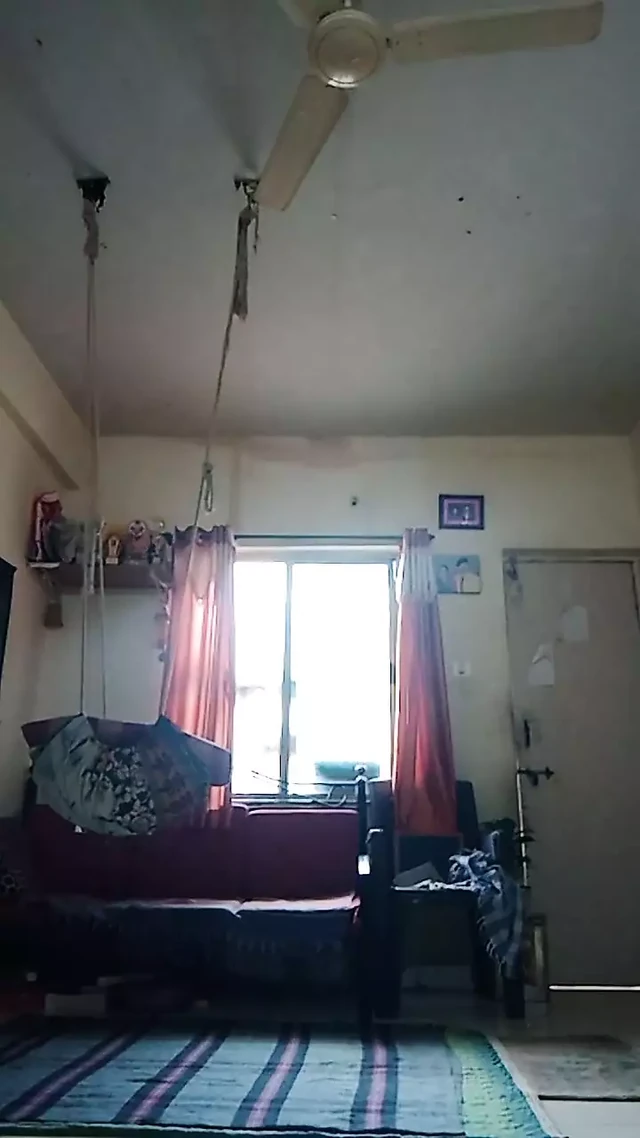 Pamus Dildo Show