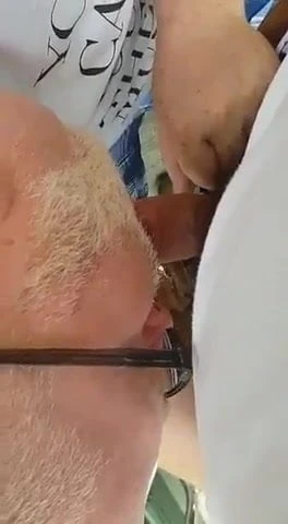 polar bear suck cock