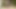 Ladyboy couple orgasm