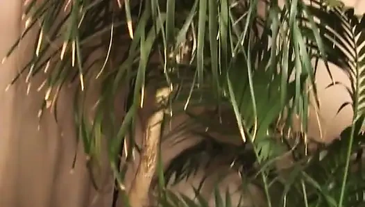 Geile blonde oma genießt es, einen großen schwanz mit leidenschaft zu lutschen