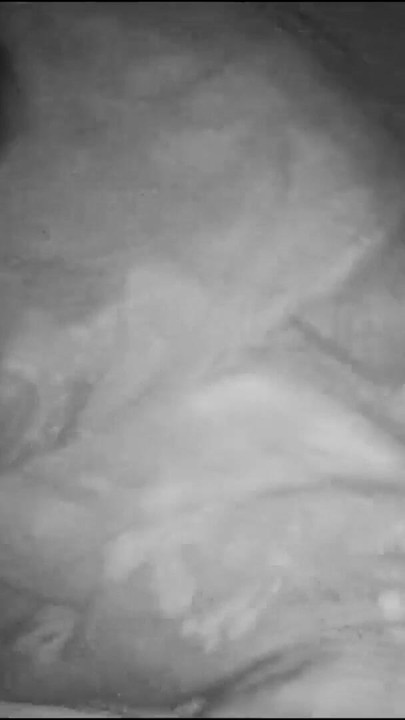 Moment spectaculaire de « Une femme de foyer indienne du village se fait baiser dans un housband »