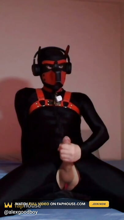 Needy Puppy Jerks His Cock on His Knees