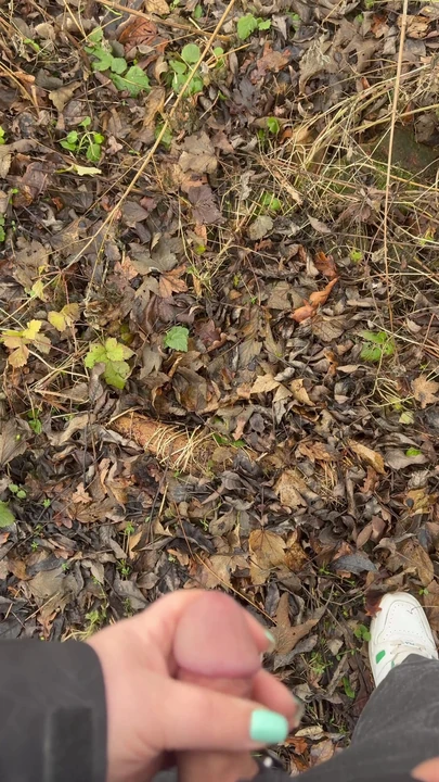 Iconic moment from "Handjob in the forest in winter"
