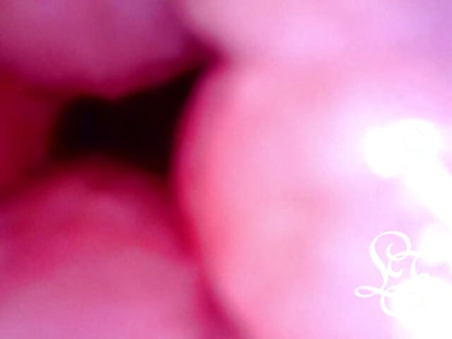 Let's explore my insides together!