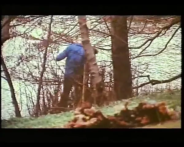 Noeglehullet 1974