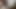 White girl suck BBC big cock
