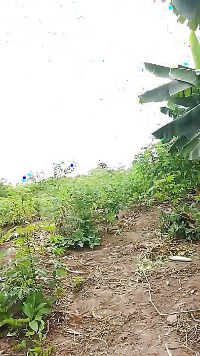 Persiapan Seks Manis di Lahan Pertanian di Tempat Terbuka