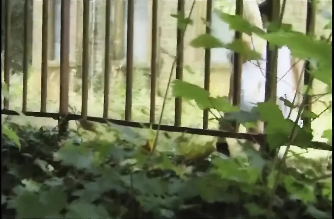 模仿（情节）