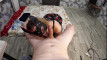 Pregled videozapisa