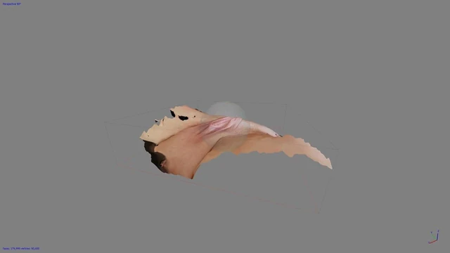 Pussy 2