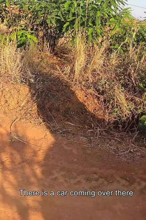 Roadside Ride! Dreadhot Gives a Filthy Blowjob on a Desert Dirt Road