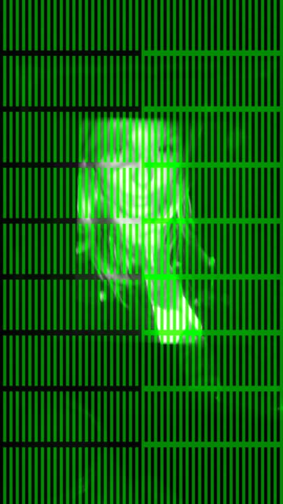 kelly的另一个射液