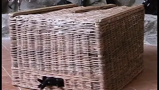 Pelacur nakal lagi asik ngentot liar sambil pakai lateks