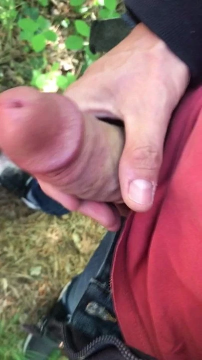 cock