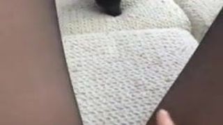 Amateur Rubbing Her Black Pantyhose