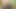 Bald British amateur masturbates in the woods and cums