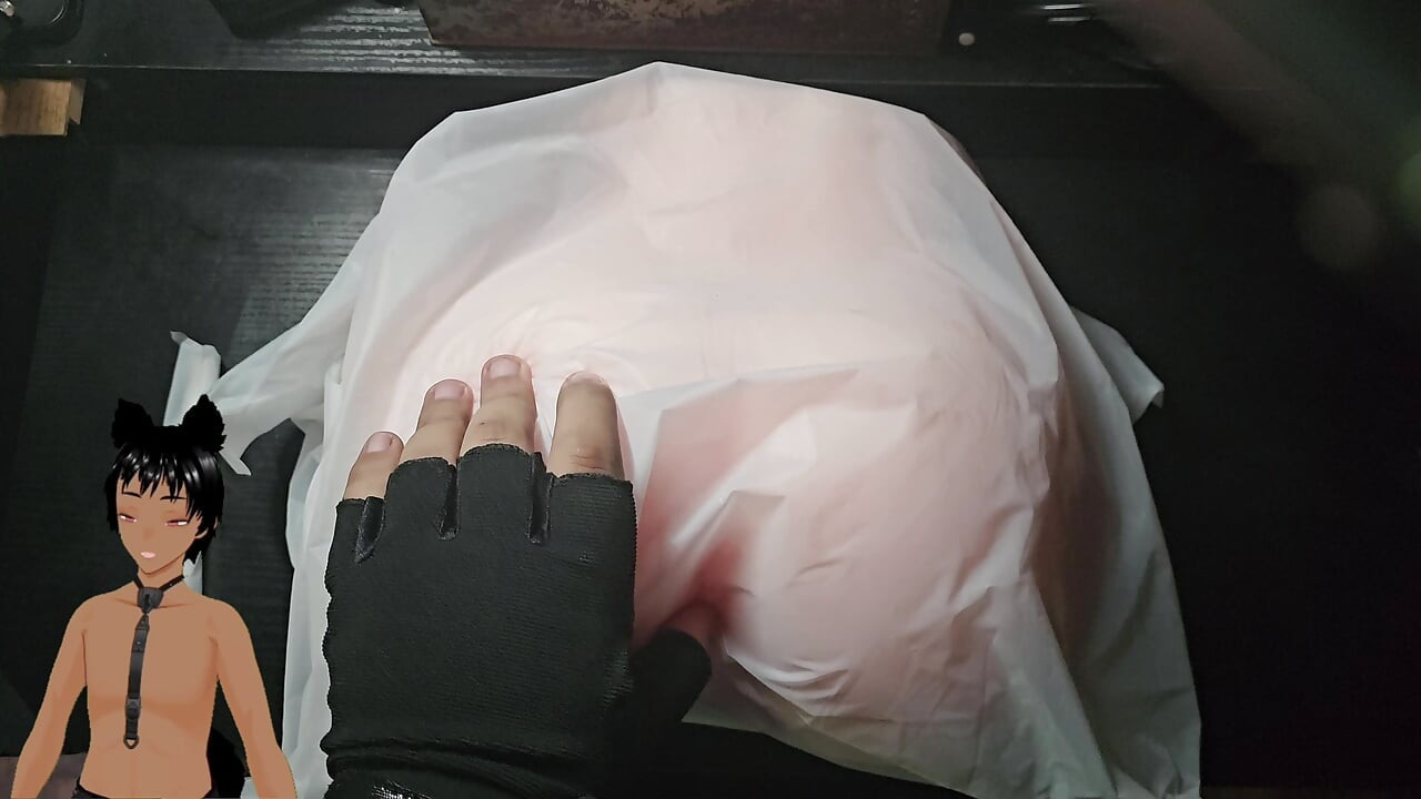 Should you put your dick in it!? - Got a new toy and it is heavy