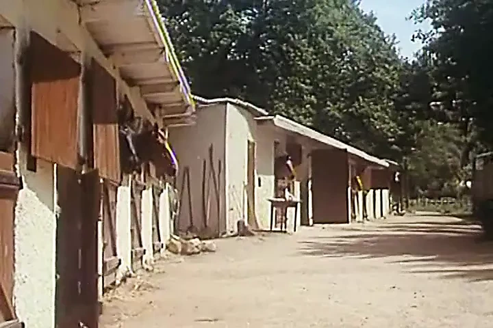 Virginites a Prendre（1981，法国，整部电影，DVD翻录）