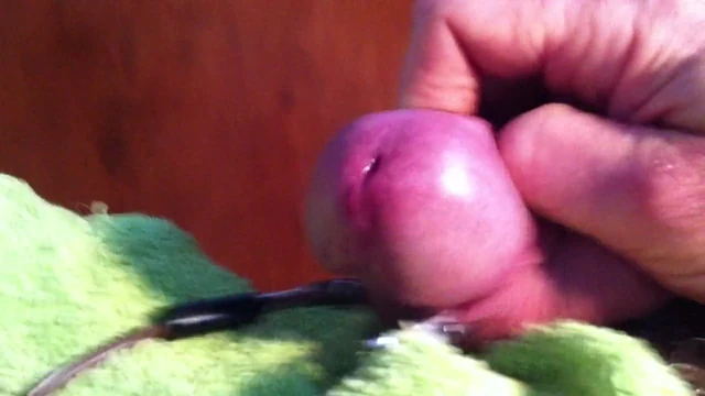 Electro CBT with alligator clips on foreskin