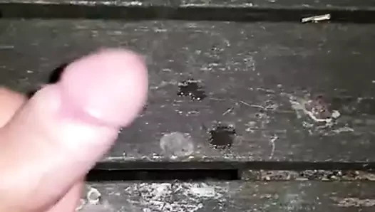 Sperm