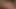 Amber Jayne, kleine Kerl