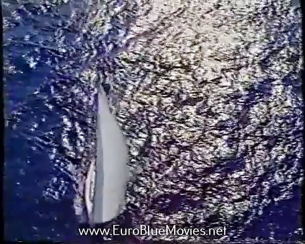 Double Game 5: Sex on the French Riviera (1987)