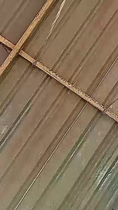 Beutiful lady swinging without panties on a swing outdoors. Slow motion 127 3 | Clip 2