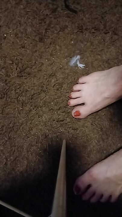 Feet: Al Bundy hates feet, but maybe you like... Andy du pimmel
