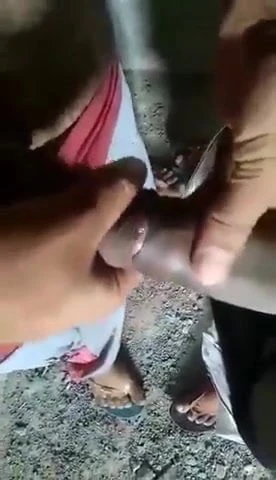 Black dicks frott
