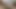 LynnPeach Cum Tribute