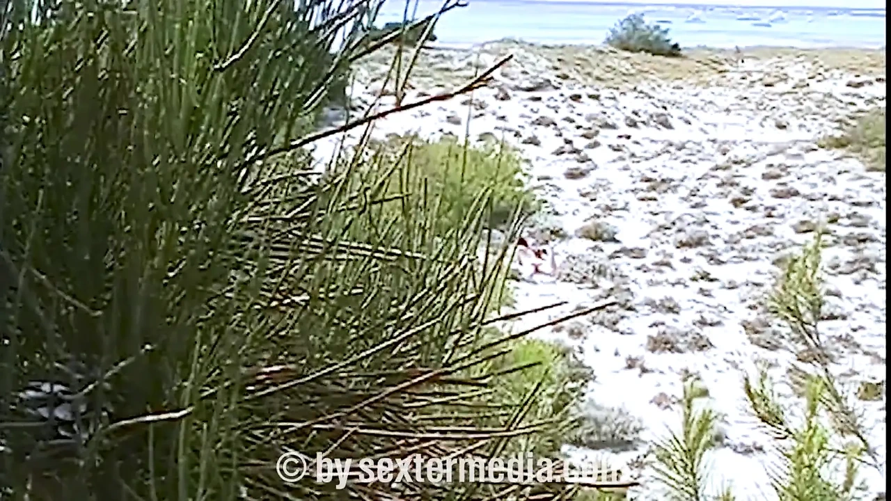 性感熟女裸体海滩