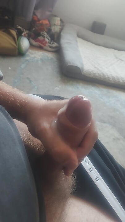 Puno sperme