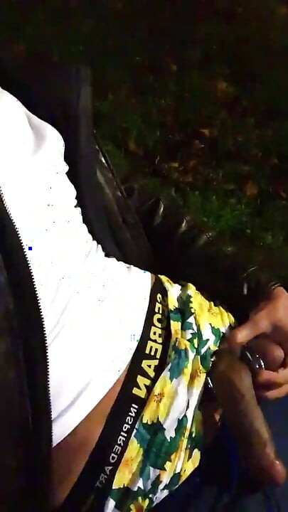 Slutboyben Cam4 Brainfukked Outdoor Pig I Complete Public Cam4 Show