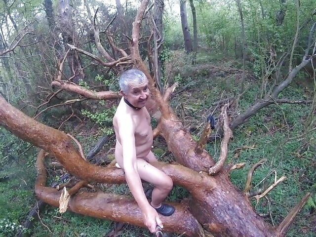 Things You Find 3