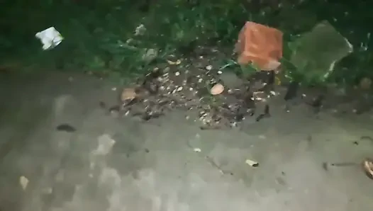 Wir wurden auf der straße erwischt, sie hätten uns fast gesehen
