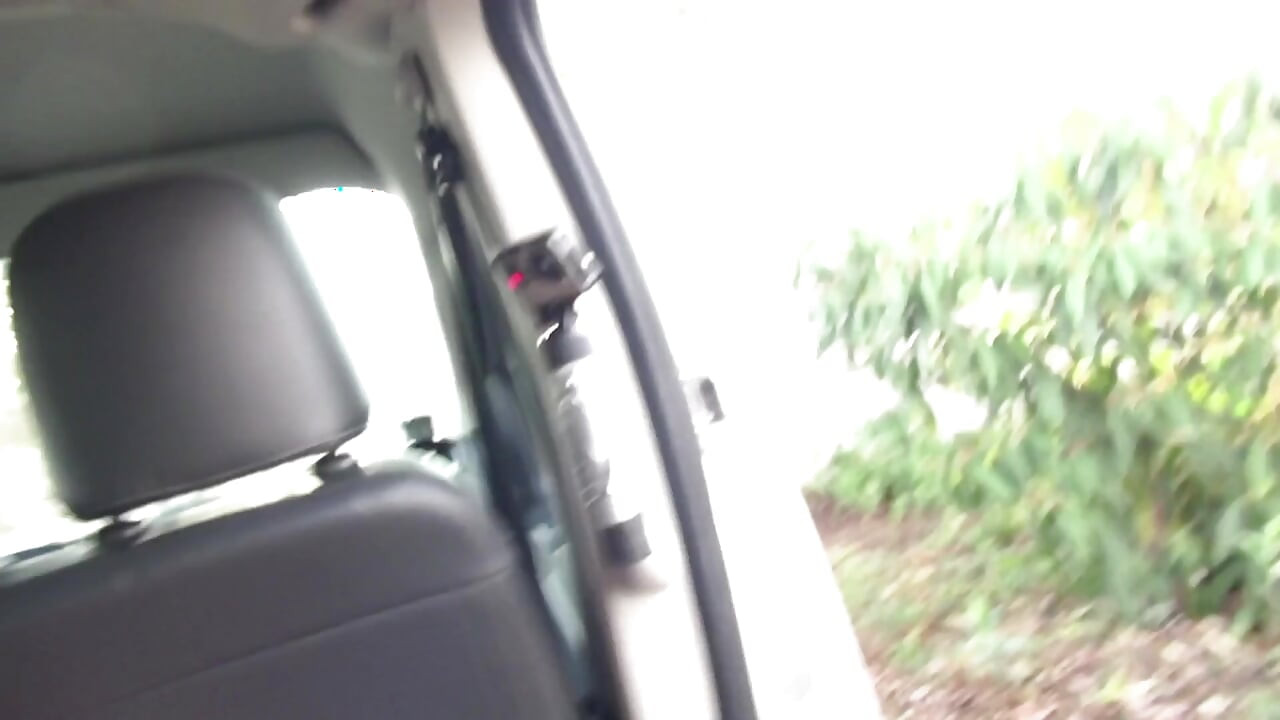 Blonde MILF sucks good cock in the car