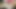 Paige Ashley and Dolly Delight are hot lesbians masturbating